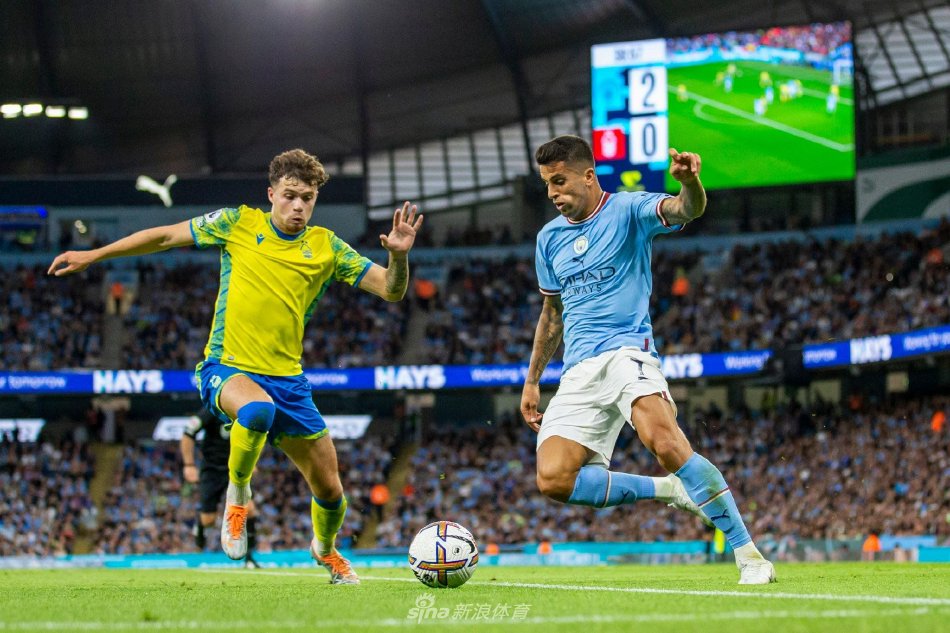 奋斗历程 奋斗历程